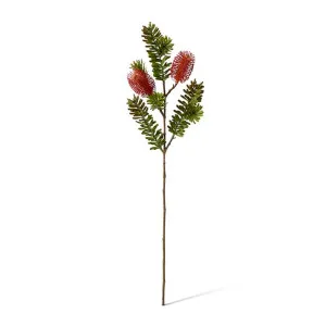 Banksia Spray - 20 x 9 x 66cm by Elme Living, a Plants for sale on Style Sourcebook