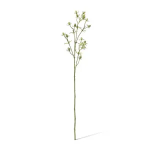 Eryngium Spray - 10 x 5 x 61cm by Elme Living, a Plants for sale on Style Sourcebook