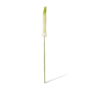 Foxtail Lily Stem - 10 x 7 x 84cm by Elme Living, a Plants for sale on Style Sourcebook