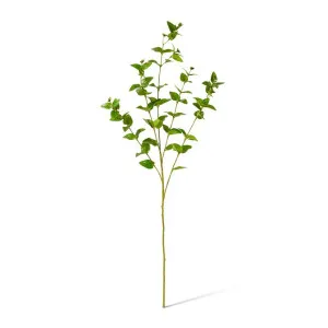 Hoya Leaf Spray - 40 x 22 x 84cm by Elme Living, a Plants for sale on Style Sourcebook