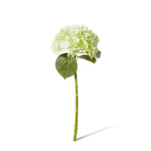 Hydrangea Classic Stem - 30 x 20 x 52cm by Elme Living, a Plants for sale on Style Sourcebook