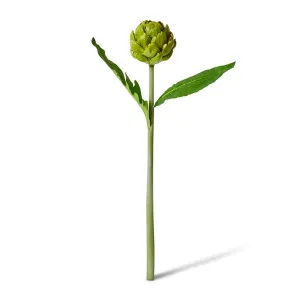 Artichoke Stem - 18 x 10 x 61cm by Elme Living, a Plants for sale on Style Sourcebook