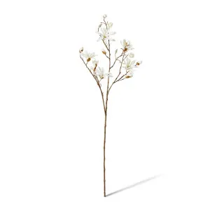 Magnolia Japanese Spray - 36 x 28 x 104cm by Elme Living, a Plants for sale on Style Sourcebook