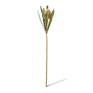 Banksia Stem - 14 x 14 x 58cm by Elme Living, a Plants for sale on Style Sourcebook
