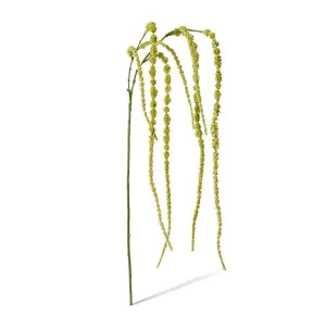 Amaranthus Hanging Spray - 16 x 16 x 147cm by Elme Living, a Plants for sale on Style Sourcebook