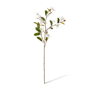 Magnolia Pearl Spray - 36 x 16 x 84cm by Elme Living, a Plants for sale on Style Sourcebook