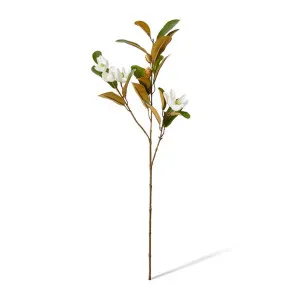 Magnolia Pearl Spray - 24 x 12 x 61cm by Elme Living, a Plants for sale on Style Sourcebook