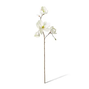 Magnolia Winter Spray - 50 x 22 x 108cm by Elme Living, a Plants for sale on Style Sourcebook