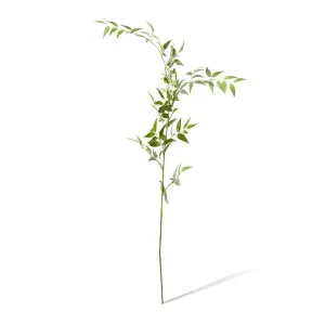Ruscus Italian Leaf Spray - 20 x 10 x 124cm by Elme Living, a Plants for sale on Style Sourcebook