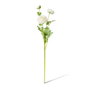 Ranunculus Flower Spray - 20 x 18 x 64cm by Elme Living, a Plants for sale on Style Sourcebook