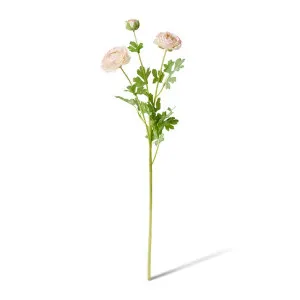 Ranunculus Flower Spray - 20 x 18 x 64cm by Elme Living, a Plants for sale on Style Sourcebook
