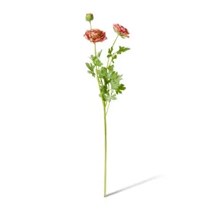 Ranunculus Flower Spray - 20 x 18 x 64cm by Elme Living, a Plants for sale on Style Sourcebook