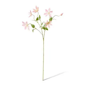 Clematis Flower Spray - 42 x 20 x 86cm by Elme Living, a Plants for sale on Style Sourcebook