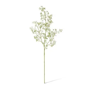 Eucalyptus Seeding Stem - 28 x 22 x 74cm by Elme Living, a Plants for sale on Style Sourcebook