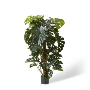 Monstera Totem Potted - 90 x 90 x 130 cm by Elme Living, a Plants for sale on Style Sourcebook