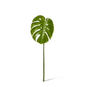 Monstera Leaf - 25 x 22 x 60 cm by Elme Living, a Plants for sale on Style Sourcebook