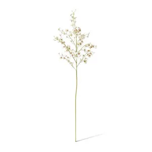 Orchid Dancing Spray - 36 x 30 x 102 cm by Elme Living, a Plants for sale on Style Sourcebook