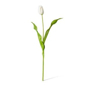 Tulip Dutch Stem - 13 x 10 x 57 cm by Elme Living, a Plants for sale on Style Sourcebook