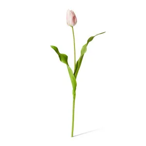 Tulip Dutch Stem - 13 x 10 x 57 cm by Elme Living, a Plants for sale on Style Sourcebook