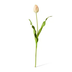 Tulip Dutch Stem - 13 x 10 x 57 cm by Elme Living, a Plants for sale on Style Sourcebook