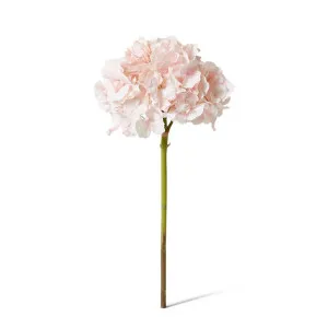 Hydrangea Stem - 25 x 25 x 53 cm by Elme Living, a Plants for sale on Style Sourcebook