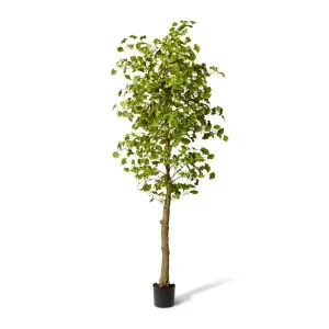 Ginkgo Tree - 90 x 90 x 244 cm by Elme Living, a Plants for sale on Style Sourcebook