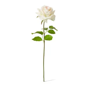 Rose Garden Short Stem (RT) - 14 x 12 x 45 cm by Elme Living, a Plants for sale on Style Sourcebook