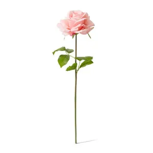 Rose Garden Short Stem (RT) - 14 x 12 x 45 cm by Elme Living, a Plants for sale on Style Sourcebook