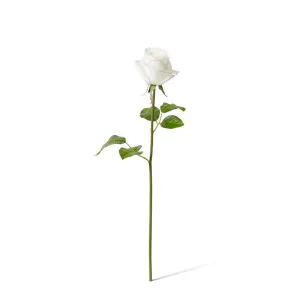 Rose Classic Short Stem (RT) - 14 x 12 x 45 cm by Elme Living, a Plants for sale on Style Sourcebook