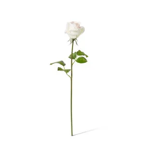 Rose Classic Short Stem (RT) - 14 x 12 x 45 cm by Elme Living, a Plants for sale on Style Sourcebook