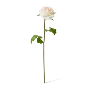 Rose Rambler Short Stem (RT) - 14 x 12 x 45 cm by Elme Living, a Plants for sale on Style Sourcebook