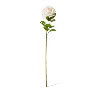 Rose Garden Stem (RT) - 22 x 14 x 66 cm by Elme Living, a Plants for sale on Style Sourcebook