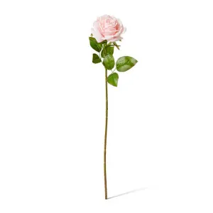 Rose Garden Stem (RT) - 22 x 14 x 66 cm by Elme Living, a Plants for sale on Style Sourcebook