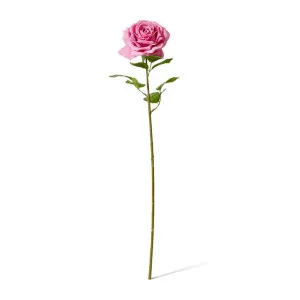 Rose Garden Stem (RT) - 22 x 14 x 66 cm by Elme Living, a Plants for sale on Style Sourcebook