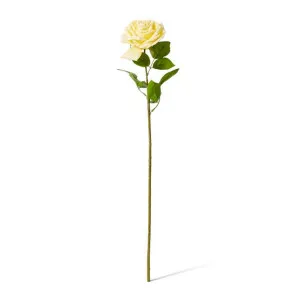 Rose Garden Stem (RT) - 22 x 14 x 66 cm by Elme Living, a Plants for sale on Style Sourcebook