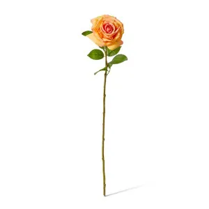 Rose Garden Stem (RT) - 22 x 14 x 66 cm by Elme Living, a Plants for sale on Style Sourcebook