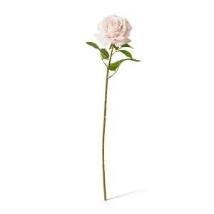 Rose Garden Stem (RT) - 22 x 14 x 66 cm by Elme Living, a Plants for sale on Style Sourcebook