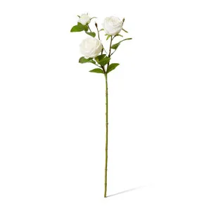 Rose Austin Spray (RT) - 24 x 16 x 78 cm by Elme Living, a Plants for sale on Style Sourcebook