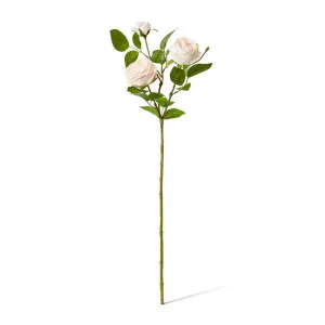 Rose Austin Spray (RT) - 24 x 16 x 78 cm by Elme Living, a Plants for sale on Style Sourcebook