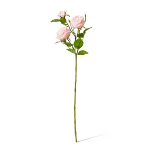 Rose Austin Spray (RT) - 24 x 16 x 78 cm by Elme Living, a Plants for sale on Style Sourcebook