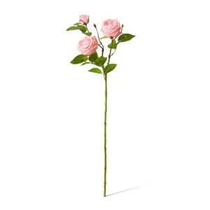Rose Austin Spray (RT) - 24 x 16 x 78 cm by Elme Living, a Plants for sale on Style Sourcebook
