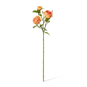 Rose Austin Spray (RT) - 24 x 16 x 78 cm by Elme Living, a Plants for sale on Style Sourcebook