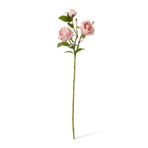 Rose Austin Spray (RT) - 24 x 16 x 78 cm by Elme Living, a Plants for sale on Style Sourcebook