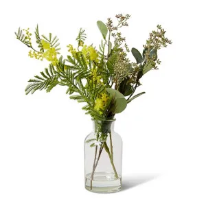 Wattle & Seed - Specimen Bottle - 40 x 32 x 50 cm by Elme Living, a Plants for sale on Style Sourcebook
