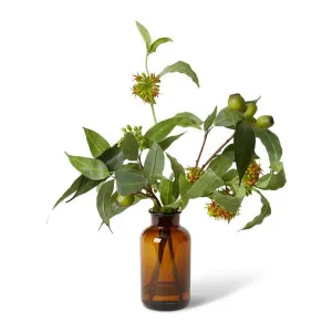 Asclepia Beatri x  Eucalyptus - Specimen Bottle - 44 x 34 x 55 cm by Elme Living, a Plants for sale on Style Sourcebook