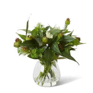Eucy Nut & Clubmoss - Alma Vase - 50 x 50 x 36 cm by Elme Living, a Plants for sale on Style Sourcebook