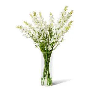 Tuberose Larkspur - Vera Vase - 64 x 64 x 82 cm by Elme Living, a Plants for sale on Style Sourcebook