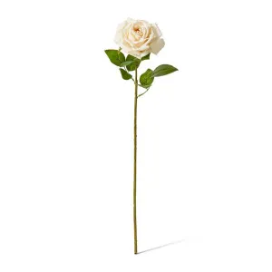 Rose Garden Stem (RT) - 22 x 14 x 66cm by Elme Living, a Plants for sale on Style Sourcebook