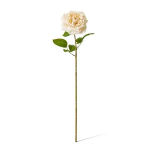 Rose Austin Stem (RT) - 22 x 14 x 66cm by Elme Living, a Plants for sale on Style Sourcebook