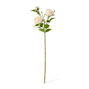 Rose Austin Spray (RT) - 24 x 16 x 78cm by Elme Living, a Plants for sale on Style Sourcebook